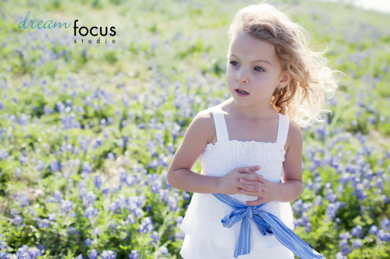 bluebonnet sessions carrollton photographer