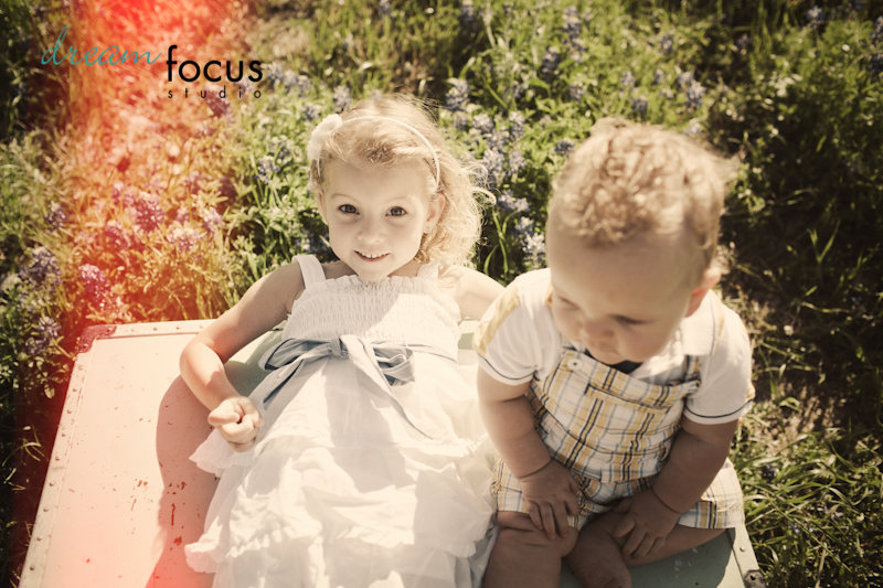 bluebonnet sessions carrollton photographer