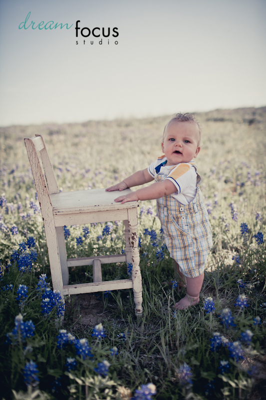 bluebonnet sessions carrollton photographer
