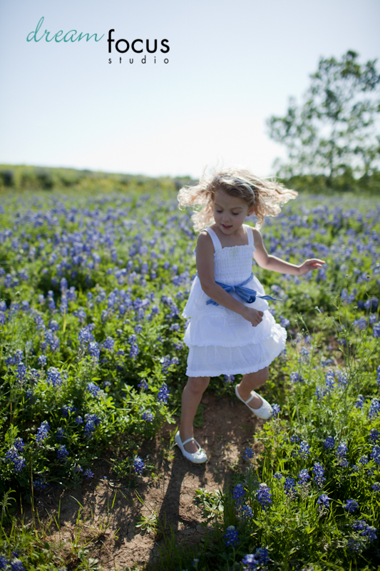 bluebonnet sessions carrollton photographer