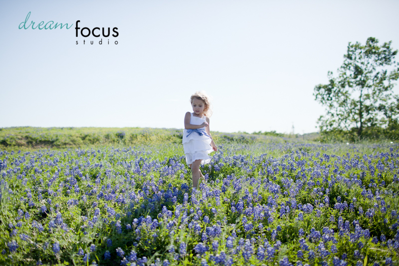 bluebonnet sessions carrollton photographer