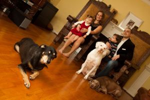 dogs_1.jpg