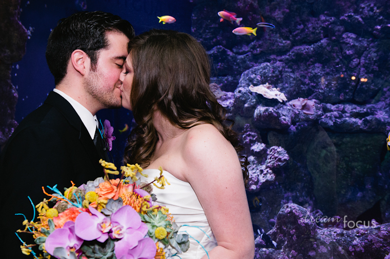 Dallas World Aquarium Weddings