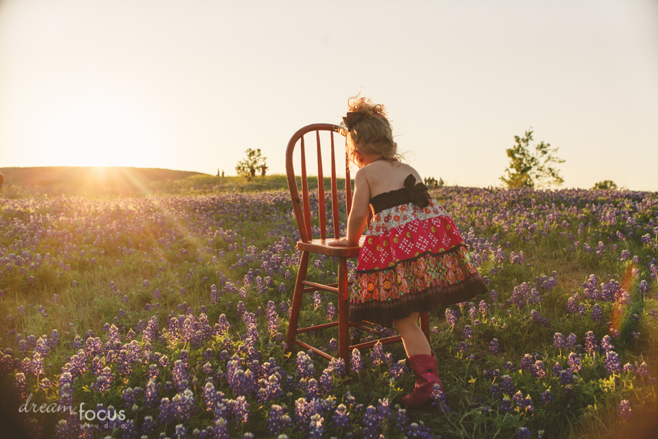 bluebonnet family photography dallas texas