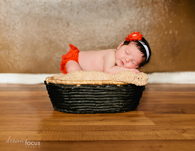 baby photography carrollton