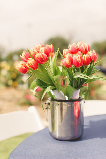 Farmers Branch Rose Garden Wedding