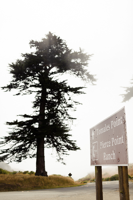 pierce point ranch california photography destination wedding photos