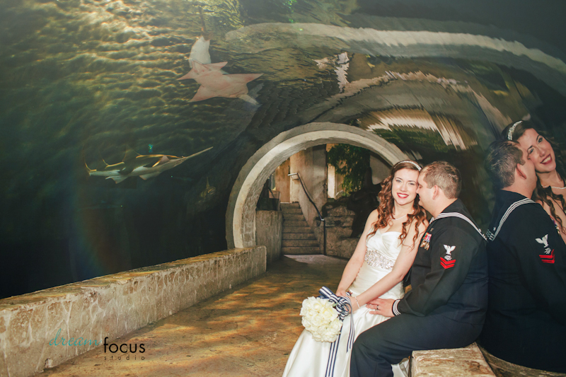 dallas world aquarium wedding photographer navy inspired