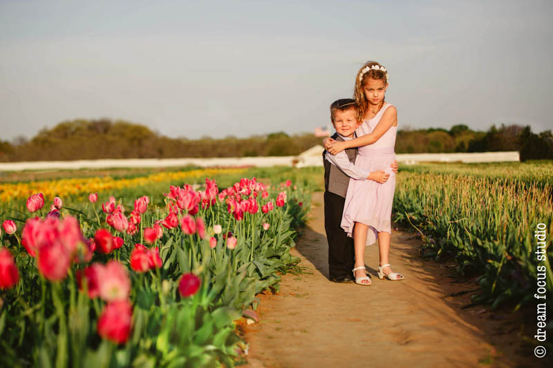 texas tulips pilot point photos photographer 