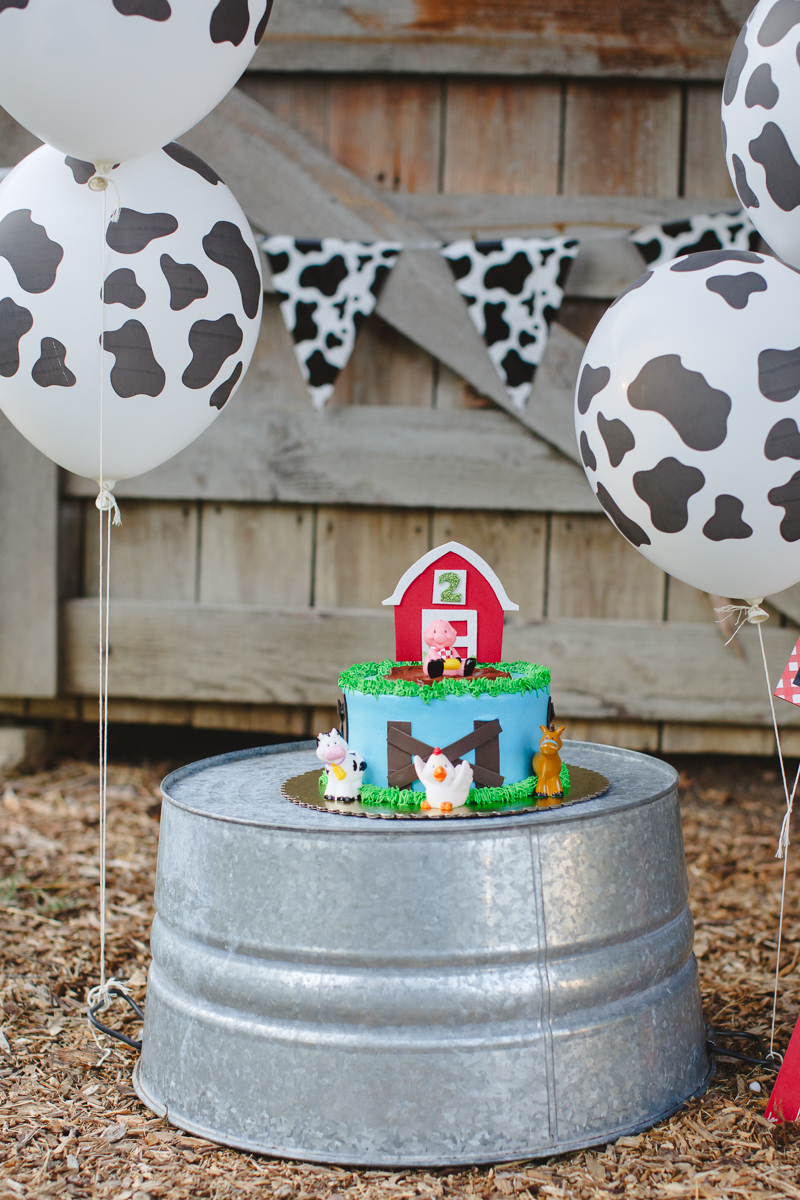 Farm animal themed cake smash photographer carrollton texas