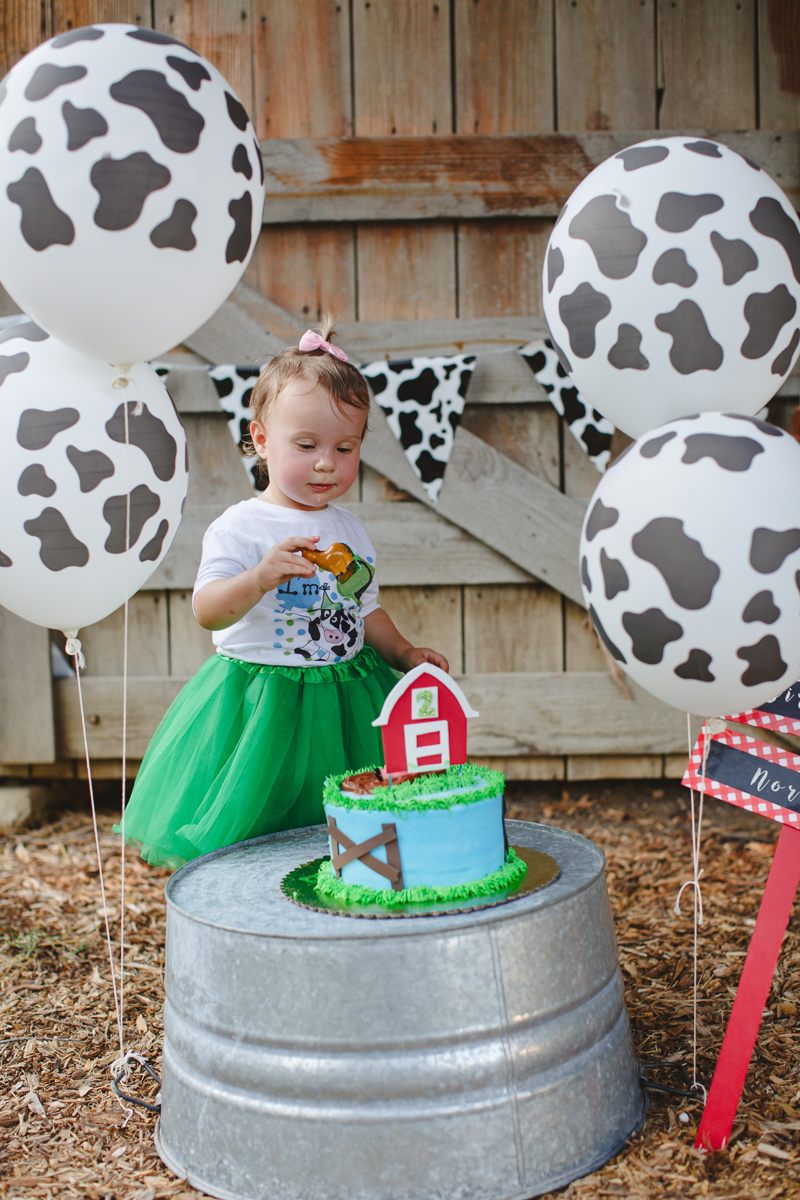 Farm animal themed cake smash photographer carrollton texas