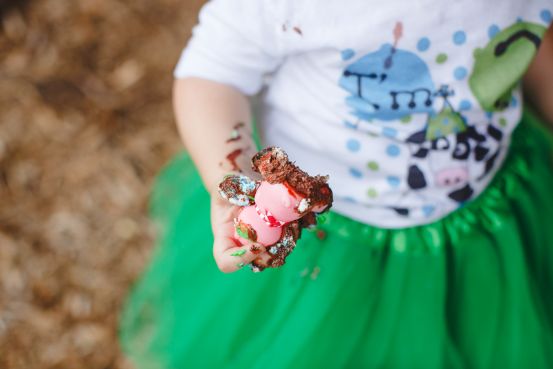 Farm animal themed cake smash photographer carrollton texas