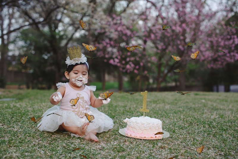 cake smash princess photographer grapevine texas