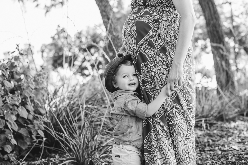 rose gardens of farmers branch child maternity family photos