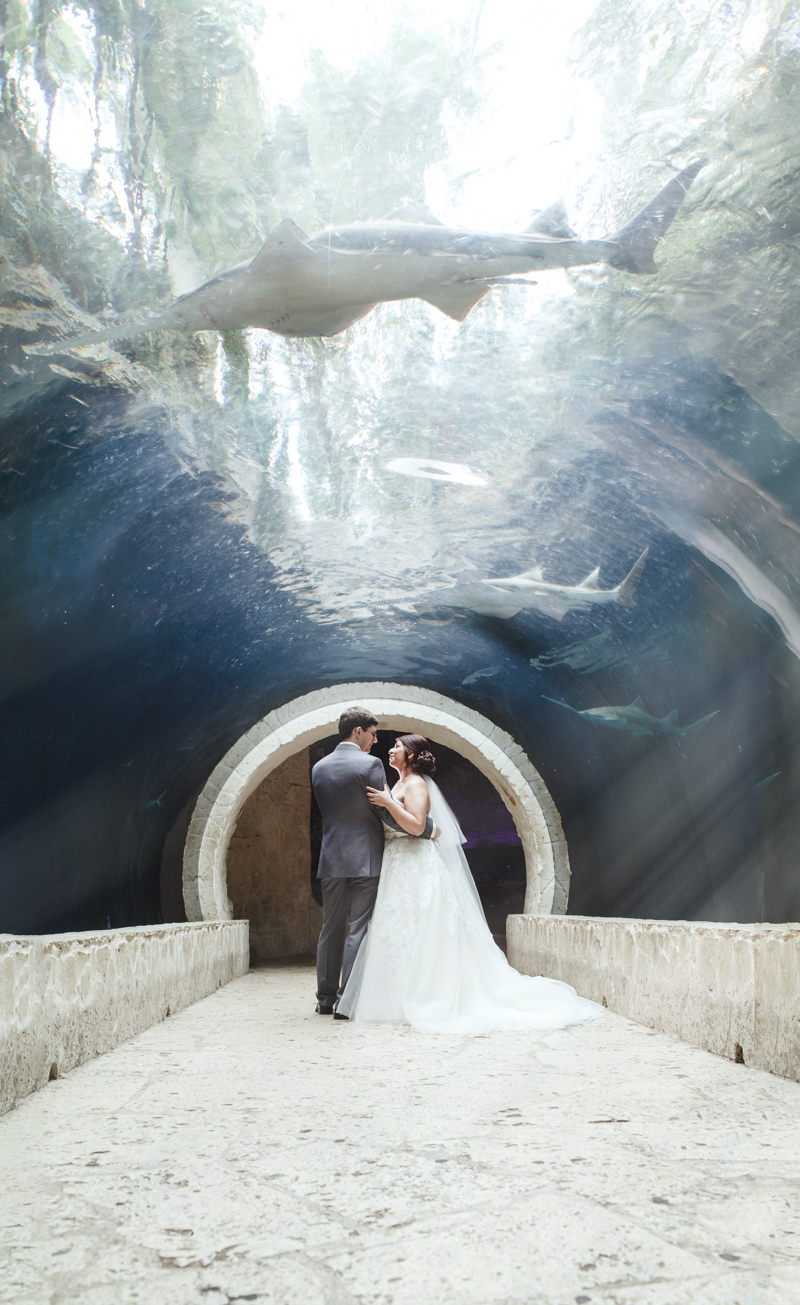 dallas world aquarium wedding photography photographer